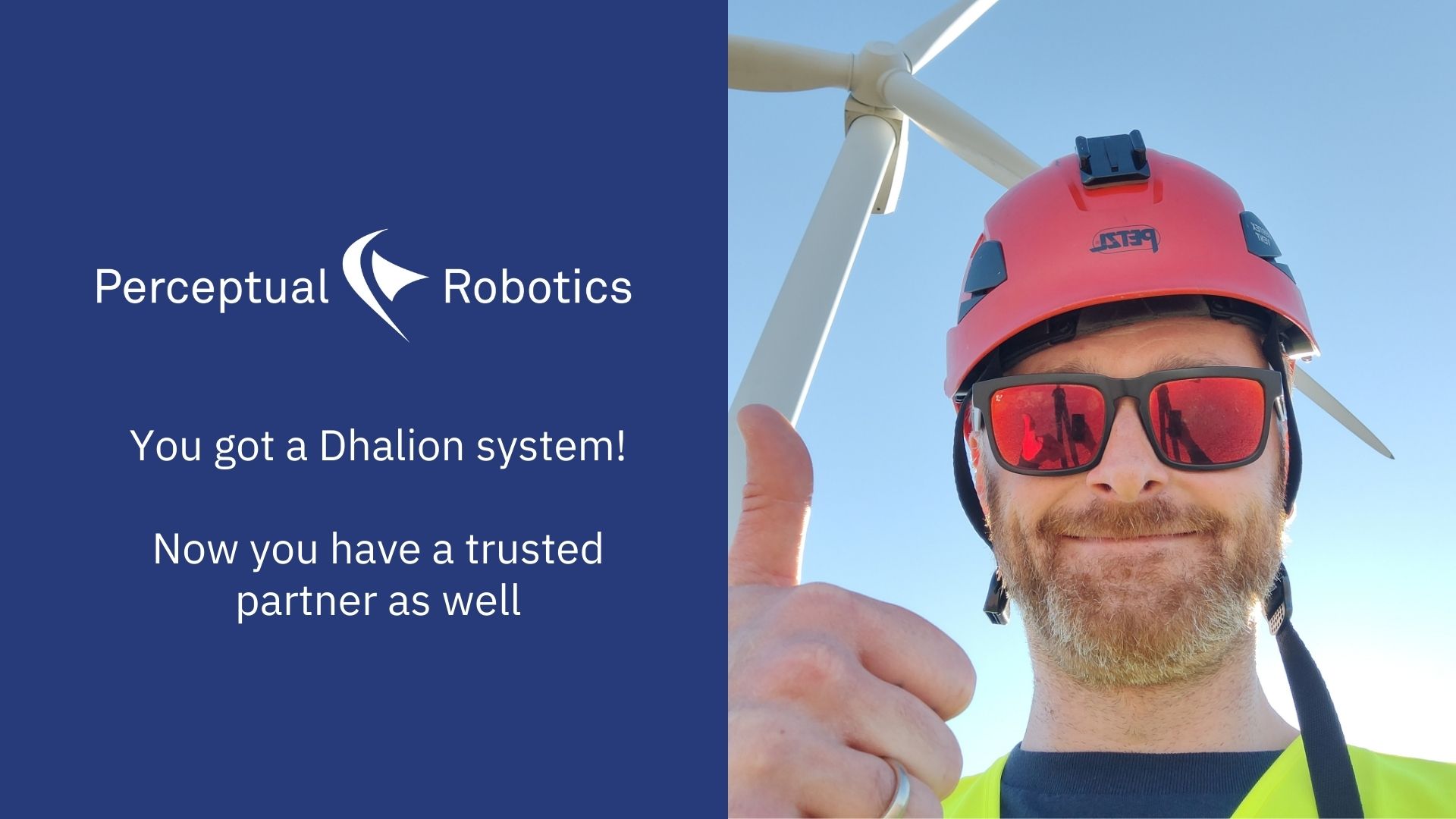 So You Got A Dhalion System Now What Perceptual Robotics