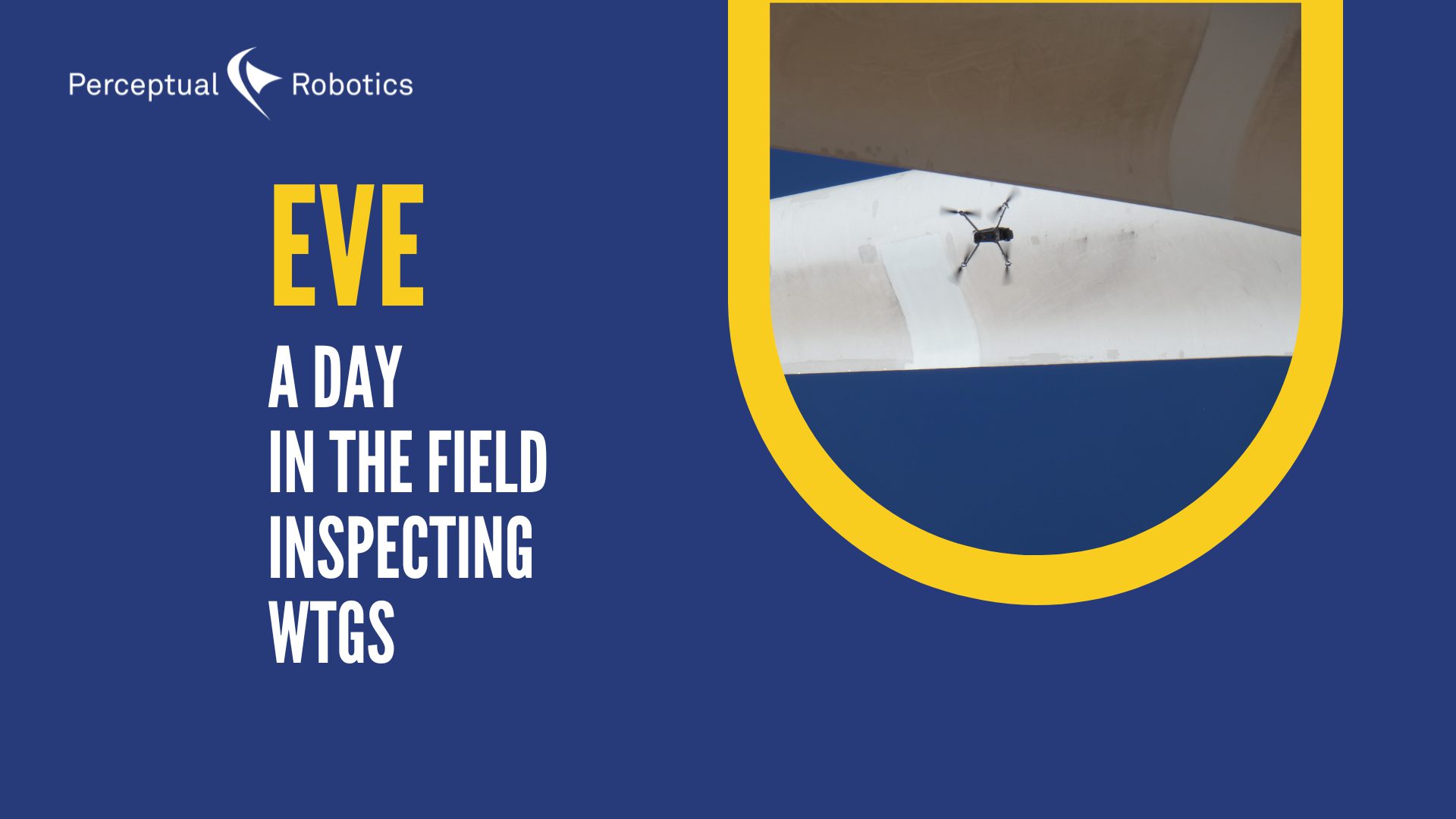 graphic image showing a blade and text about eve