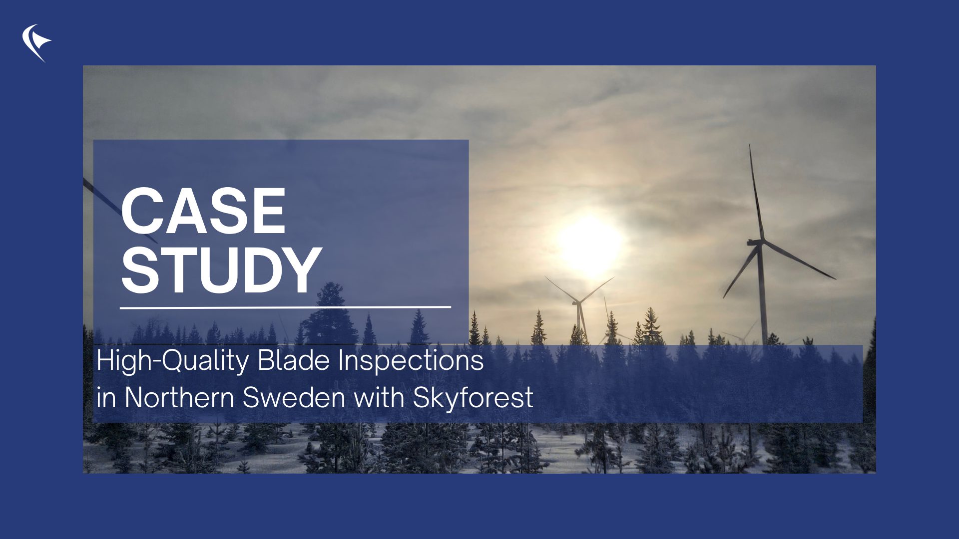 Image of the Case Study for Skyforest Weden